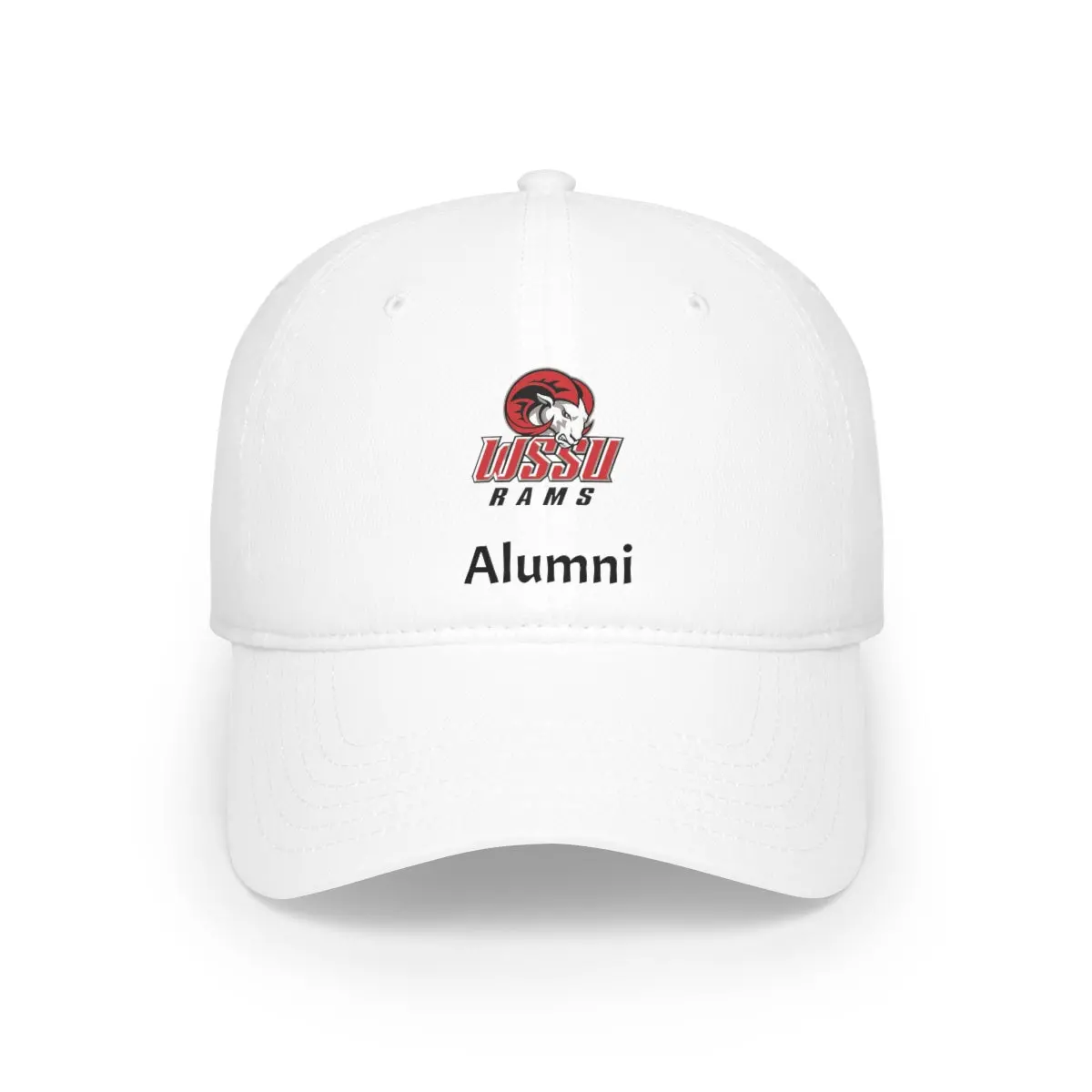 Low Profile Baseball Cap 1