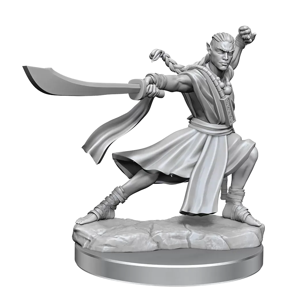 D&D Frameworks Elf Monk Male 1