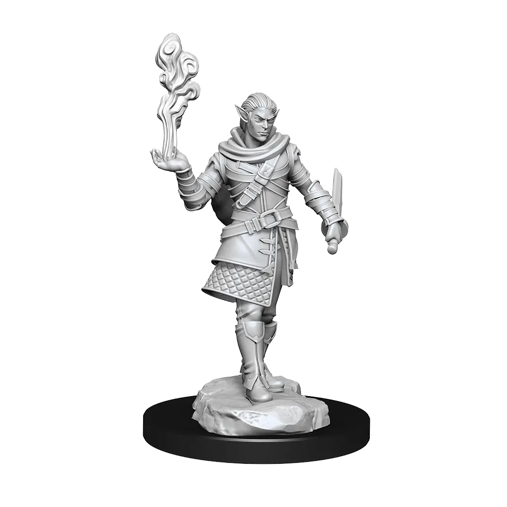 Pallid Elf Rogue And Bard Male 1