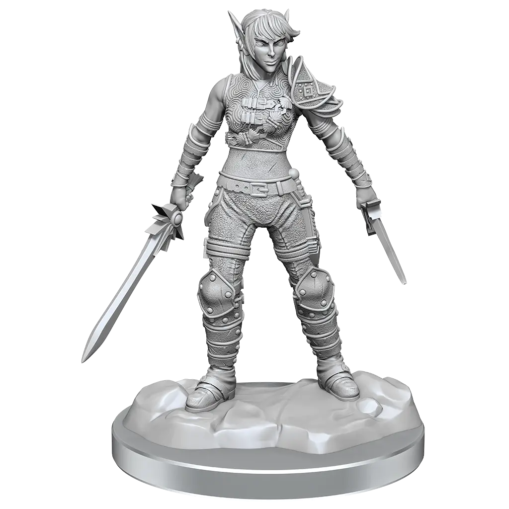 Elf Rogue & Half-Elf Rogue Protege 1