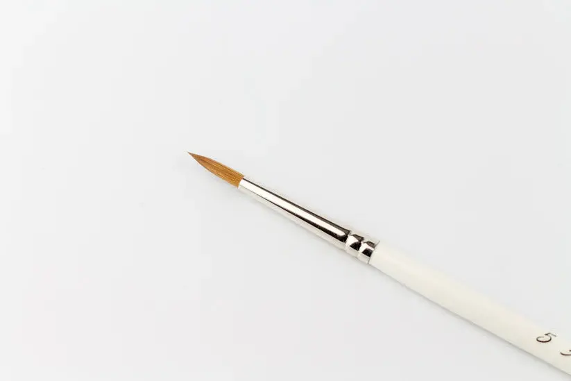 Series S - Size 5 Brush 1