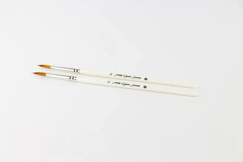 Series S - Size 6 Brush 1