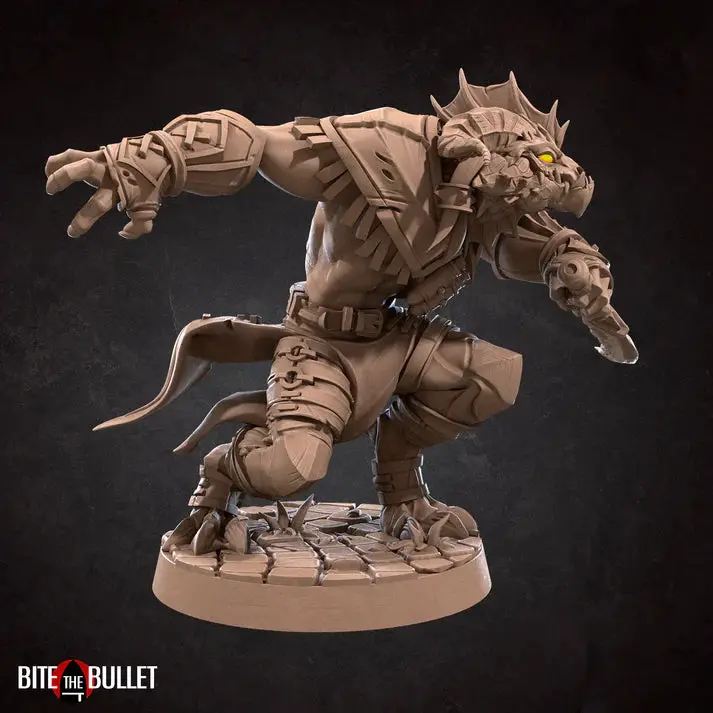 Dragonborn Rogue Male D&D Miniature 1