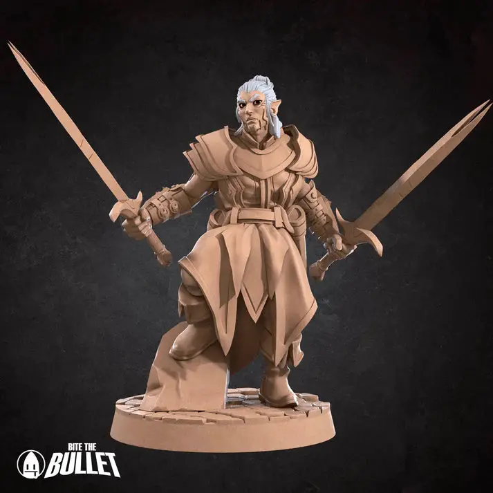 Elf Champion Male D&D Miniature 1