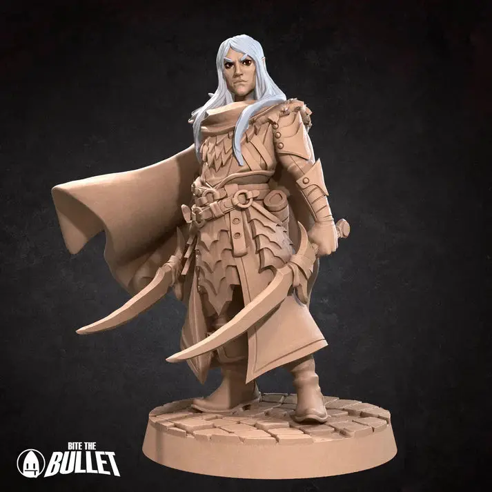 Elf Fighter Male (Dual Wielding) D&D Miniature 1