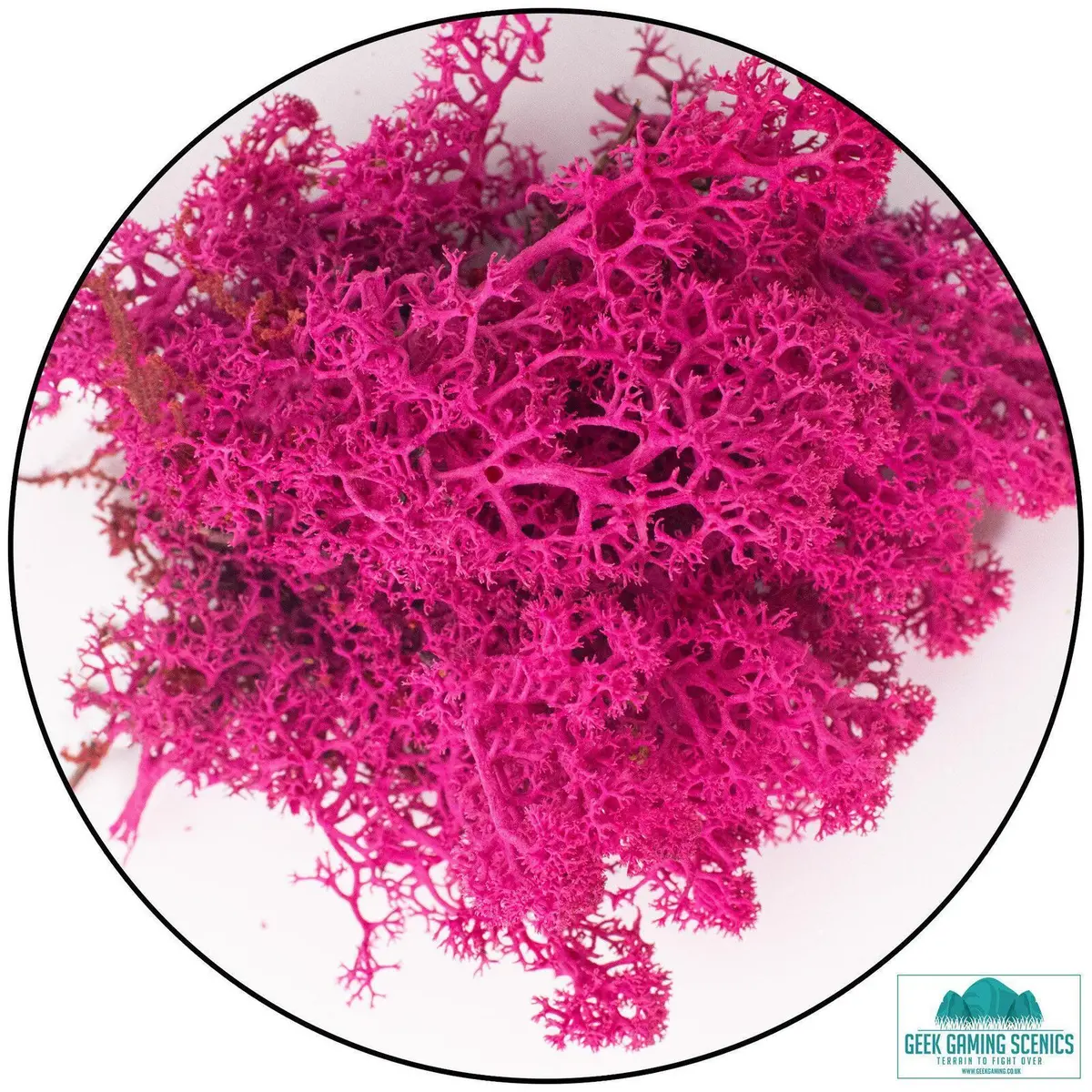 Lichen - Cherry Blossom 1