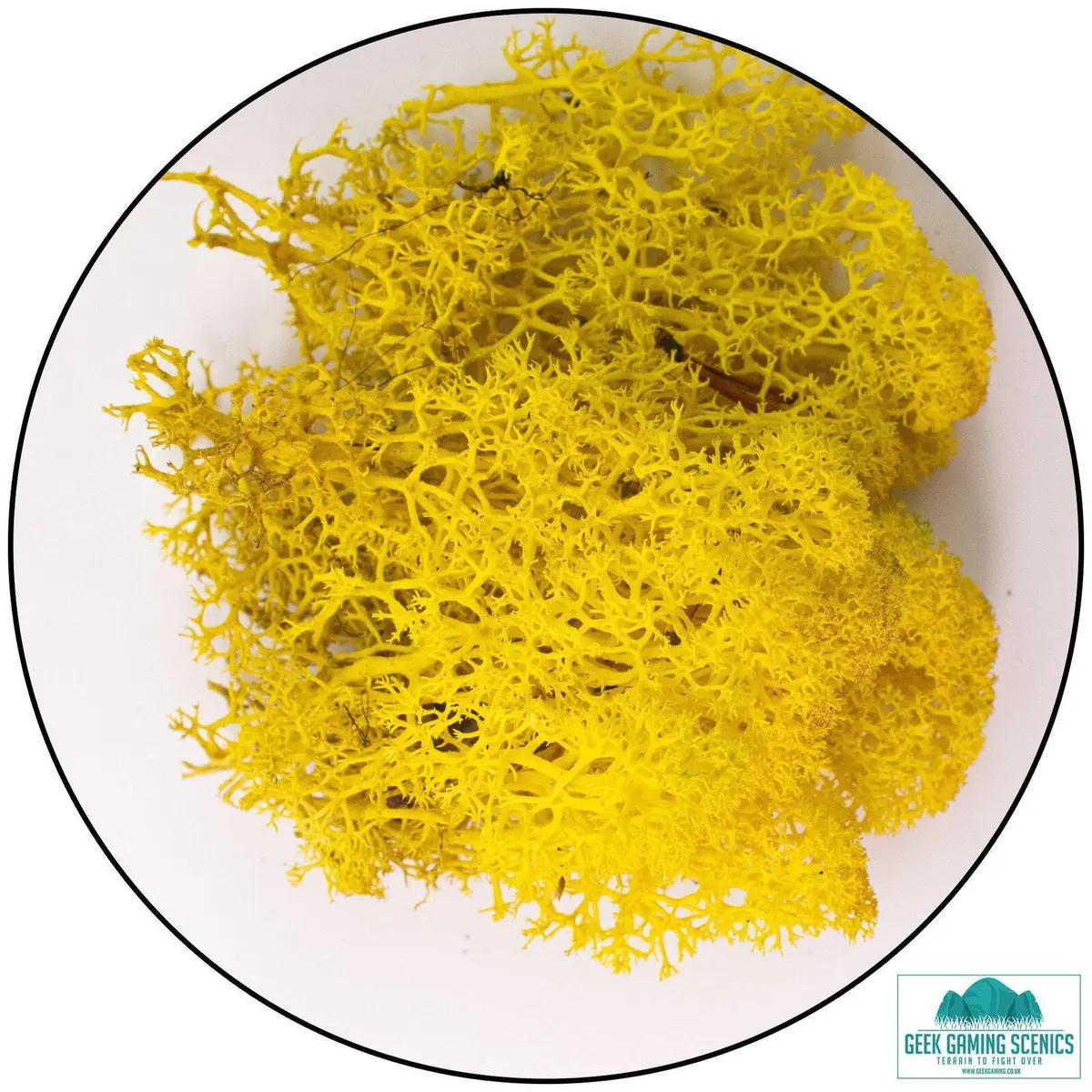 Lichen - Yellow 1