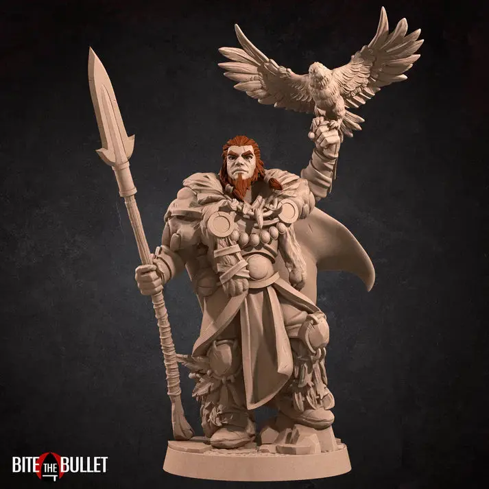 Human Druid Male (With Crow) D&D Miniature 1