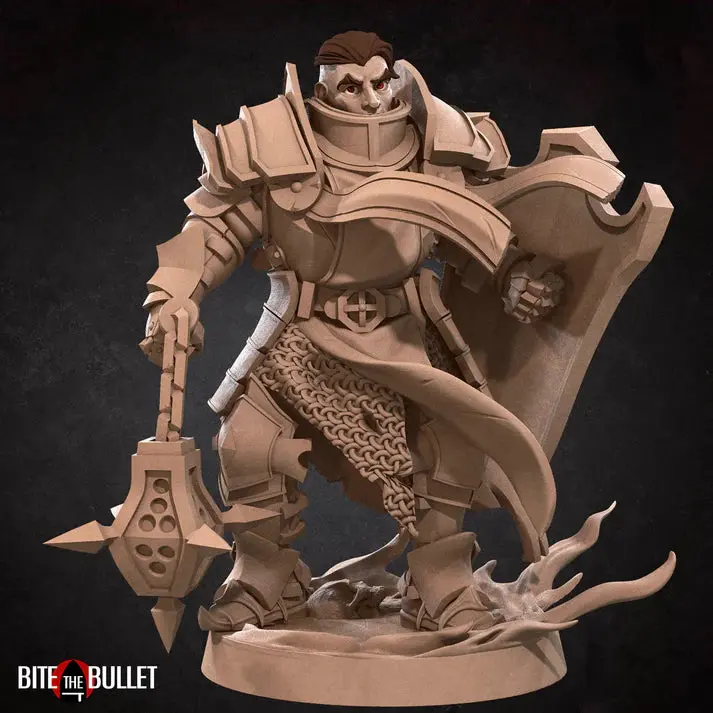 Human Cleric Crusader Male D&D Miniature 1