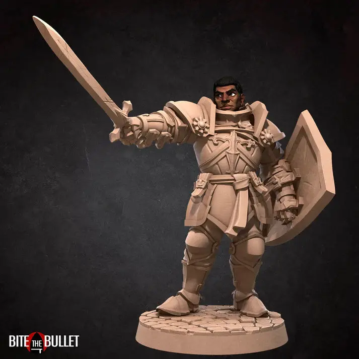 Human Paladin Male D&D Miniature 1