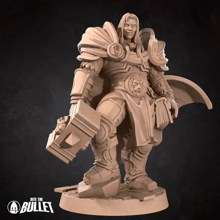 Human Paladin Male (Hammer) D&D Miniature 1
