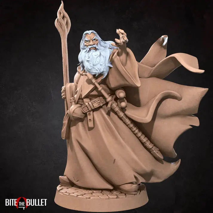 Human Wizard Male (No Hat) D&D Miniature 1