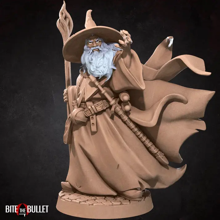 Human Wizard Male (With Hat) D&D Miniature 1
