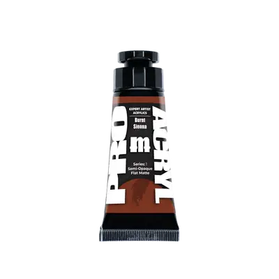 Expert Acrylics 010 - Burnt Sienna 1