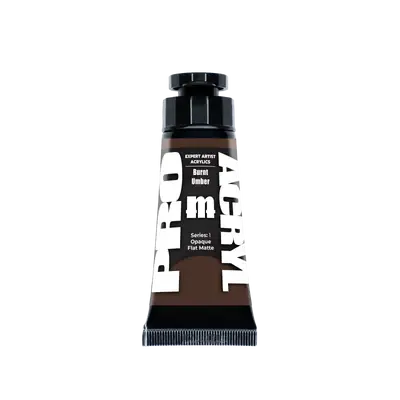 Expert Acrylics 007 - Burnt Umber 1