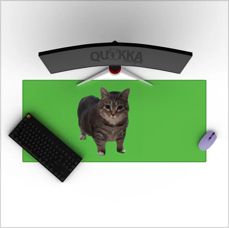 Oiia Oiia Cat - Meme Deskmat Playmat Mousepad 1