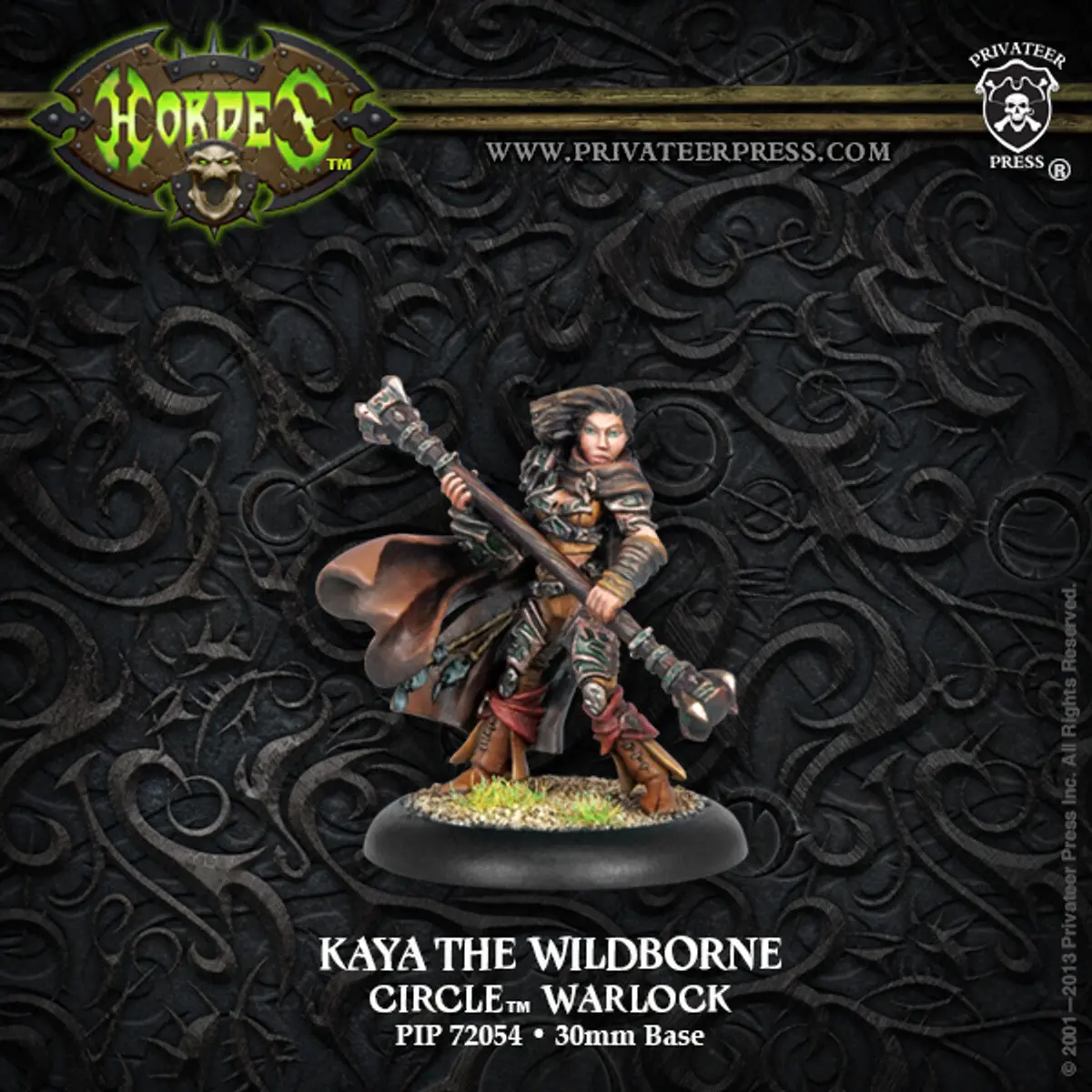 Kaya The Wildborne 1