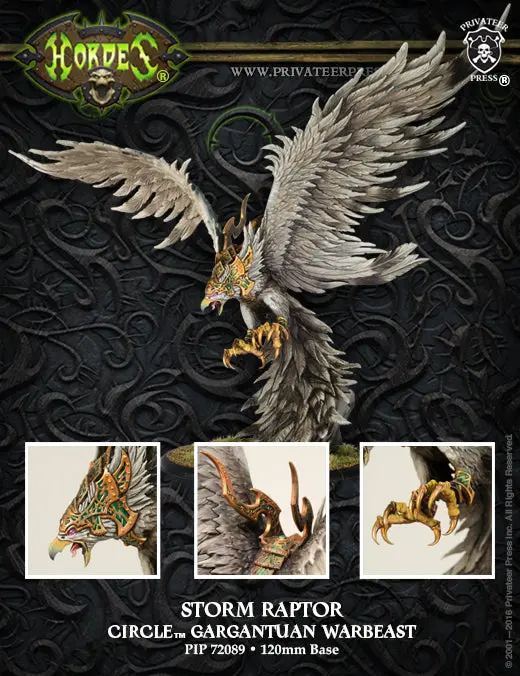 Storm Raptor (Big Box) 1