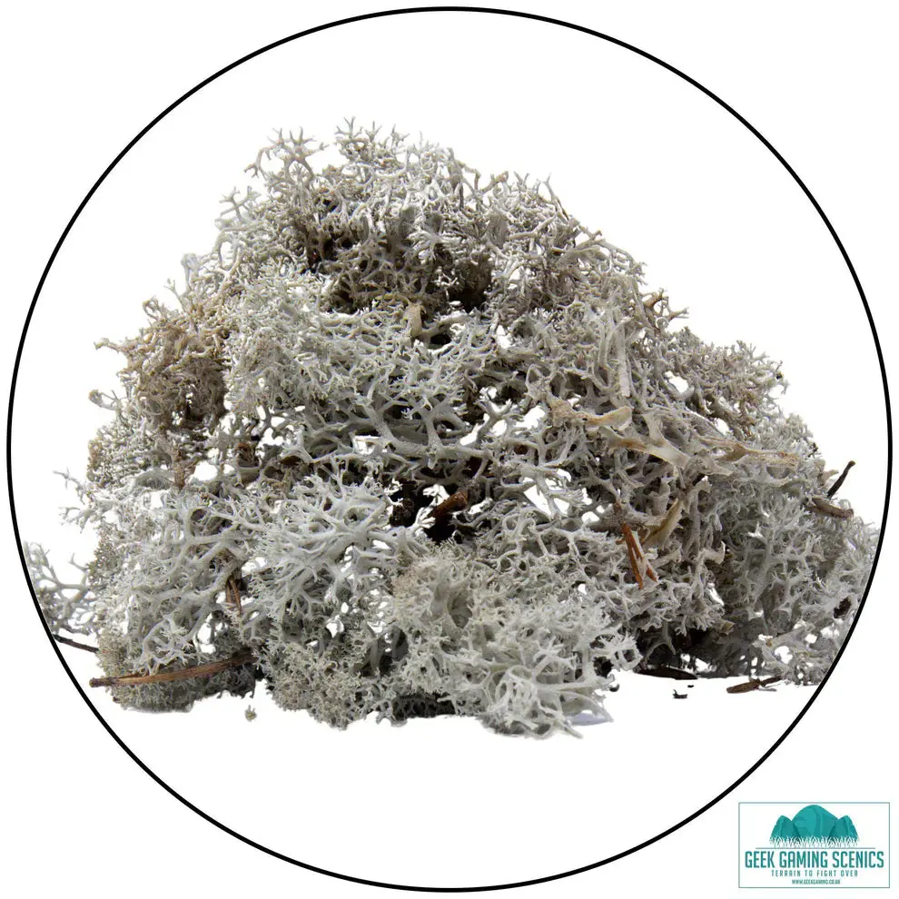 Lichen - Light Grey 1