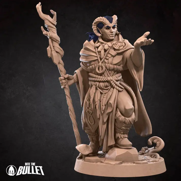 Tiefling Druid Male D&D Miniature 1