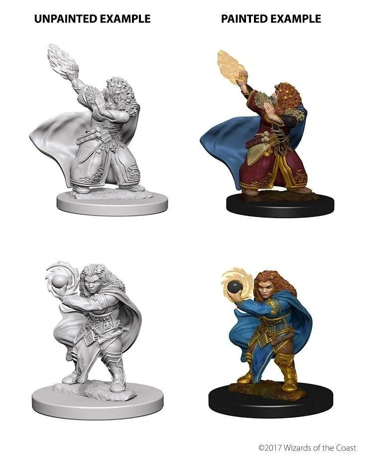 Dwarf Female Wizard (Oop) 1