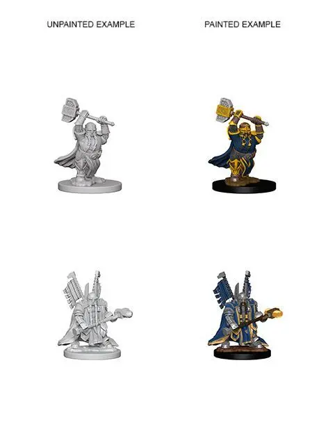 Dwarf Male Paladin 1