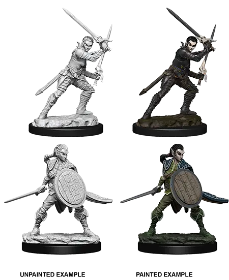 Female Elf Fighter 1