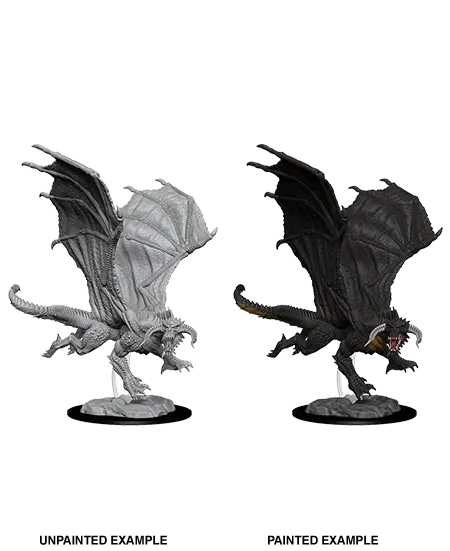 Young Black Dragon 1