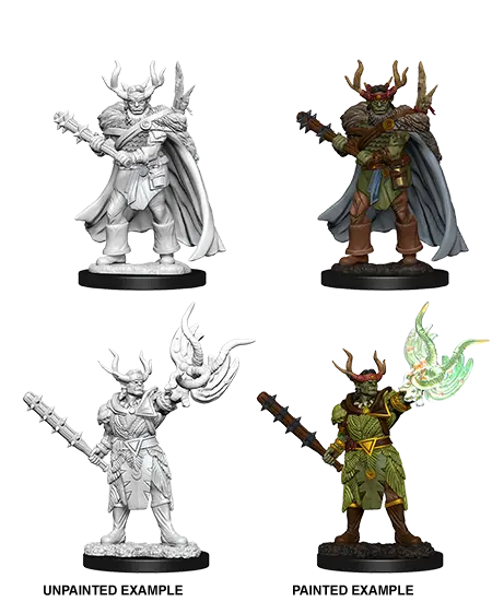 Male Half-Orc Druid 1