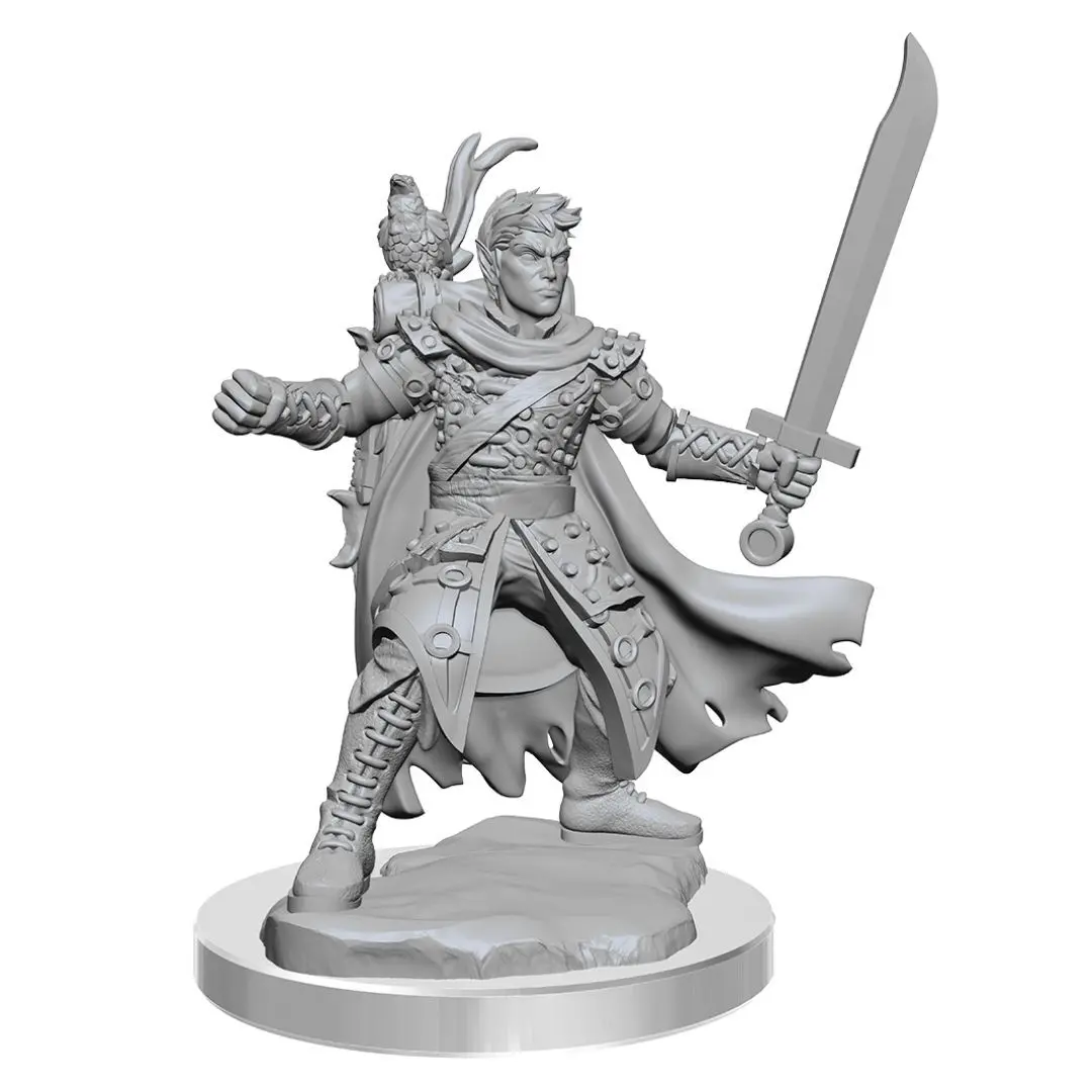 D&D Frameworks Half-Elf Ranger Male 1