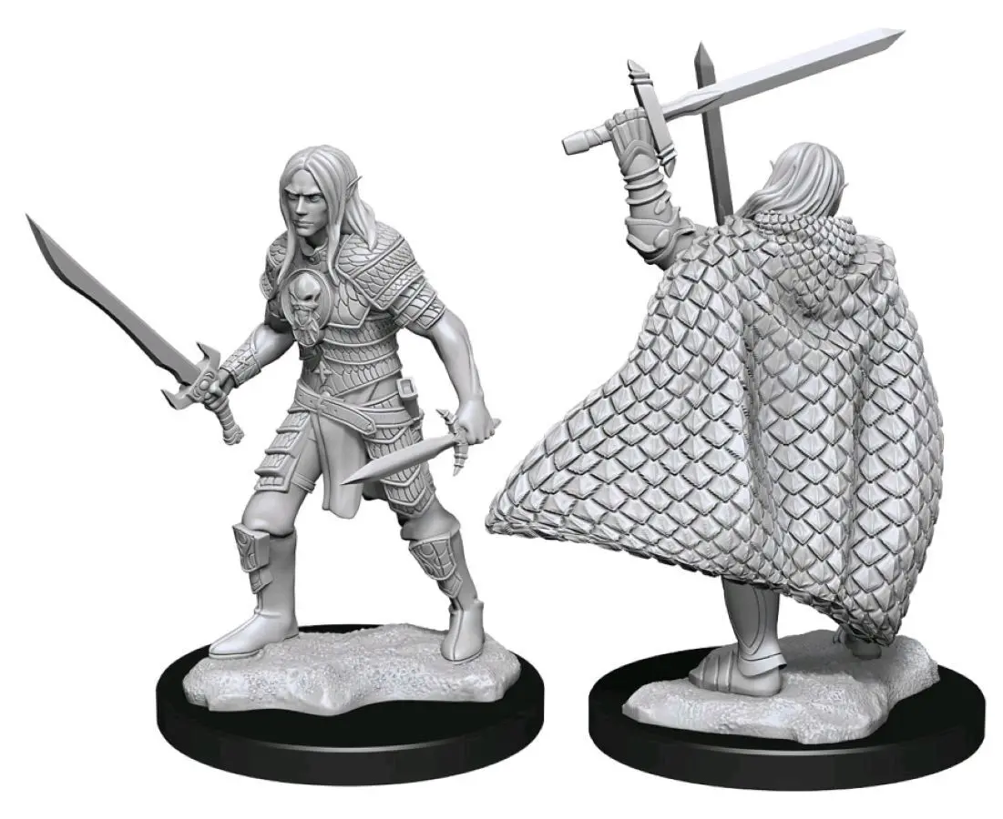 Elf Fighter Male 1