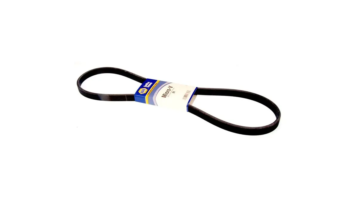 Belt - Serpentine / Banda - Serpentina
Precios Incluyen I.S.V. 1