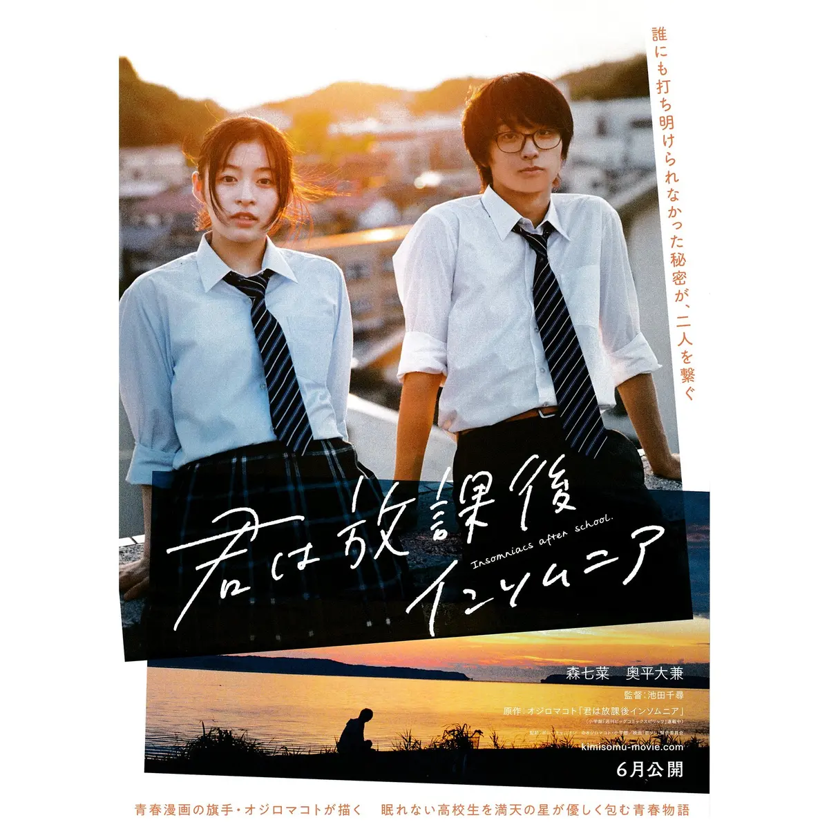 New Limited Edition Japanese Chirashi B5 Movie Poster Insomniacs After School 1